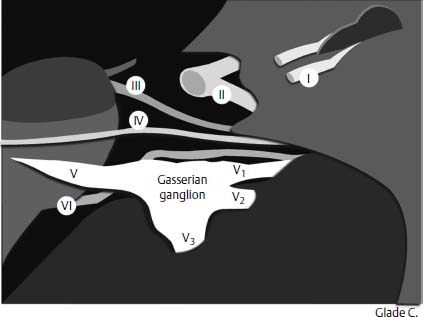 Figure 11–3