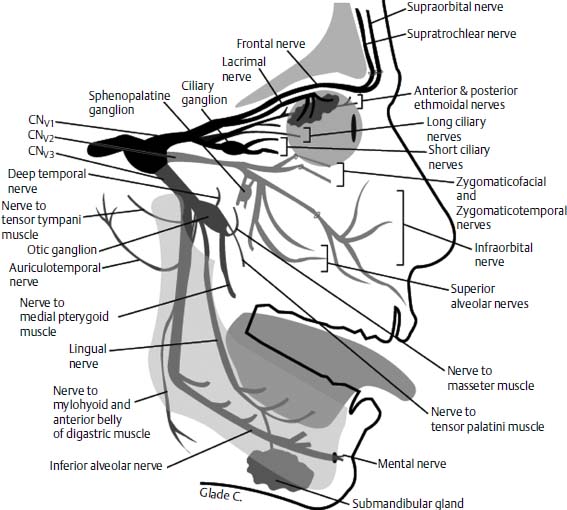 Figure 11–4