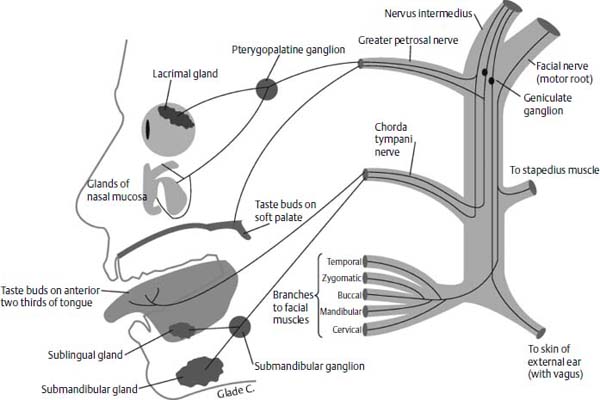 Figure 11–5