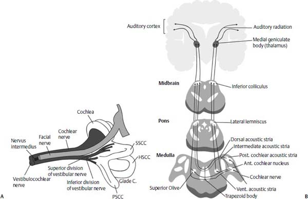 Figure 11–6