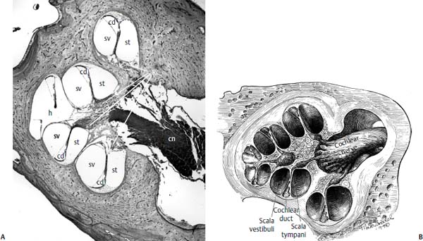 Fig. 31.2