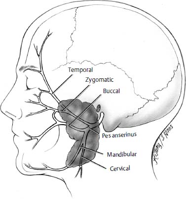 Figure 33–2