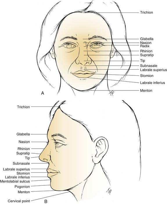 Aesthetic Facial Analysis | Ento Key