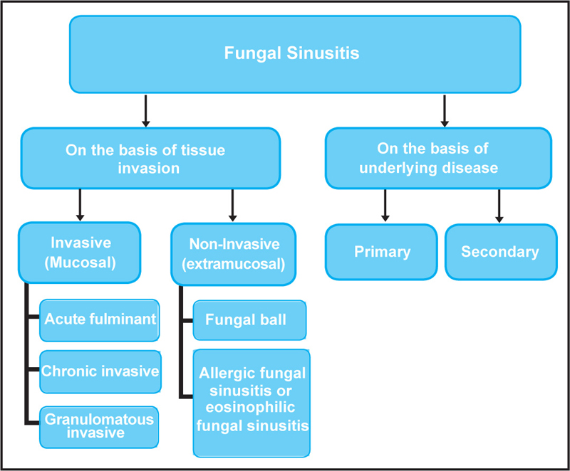 Fungal rhinosinusitis deals