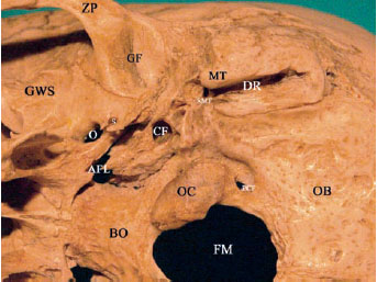 Fig. 2.4