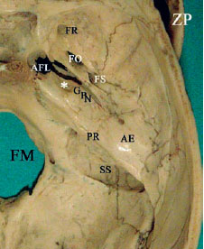 Fig. 2.7