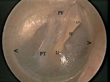 Fig. 2.13