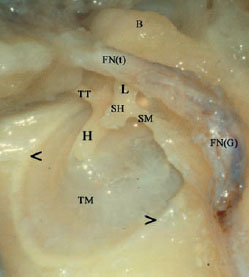 Fig. 2.14