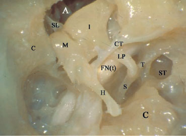 Fig. 2.17