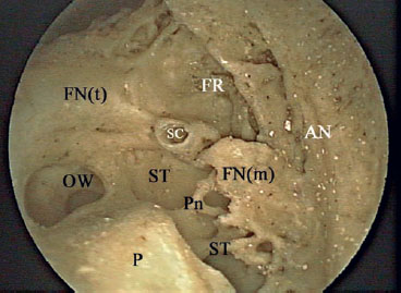 Fig. 2.31