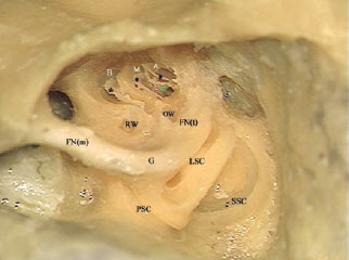 Fig. 2.37