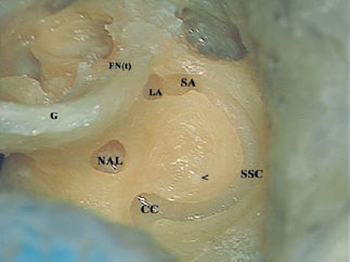 Fig. 2.39