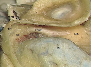 Fig. 2.68