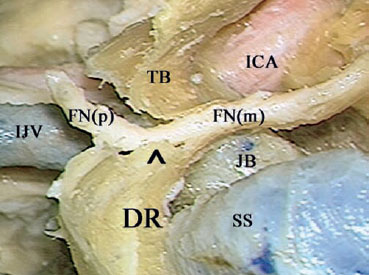 Fig. 2.71