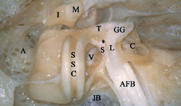 Fig. 2.77