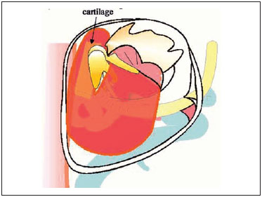 Fig. 3.54b, c