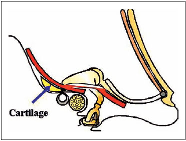 Fig. 3.54c