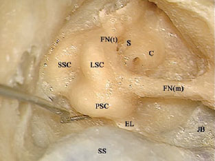 Fig. 3.63