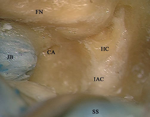 Fig. 4.49