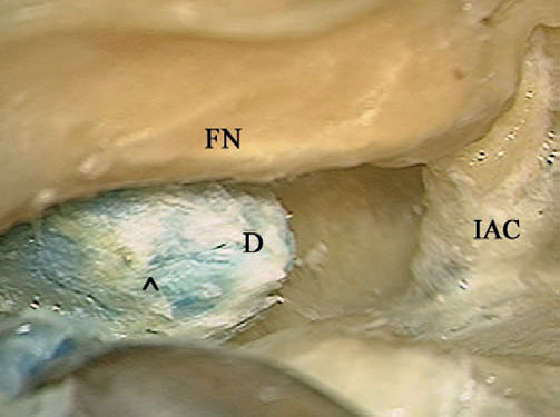 Fig. 4.50