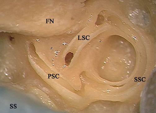 Fig. 4.63