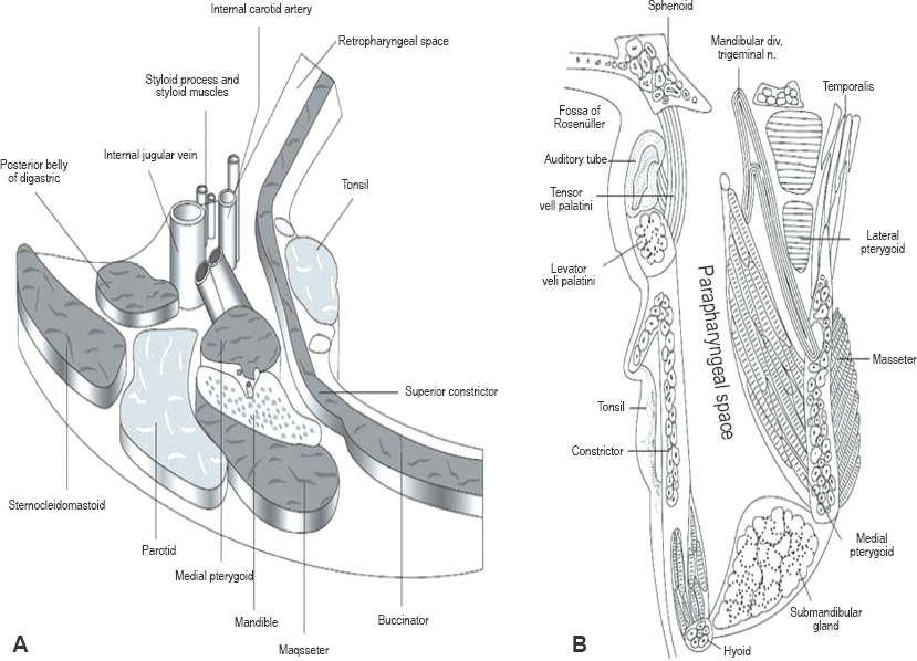 lateral pharyngeal space