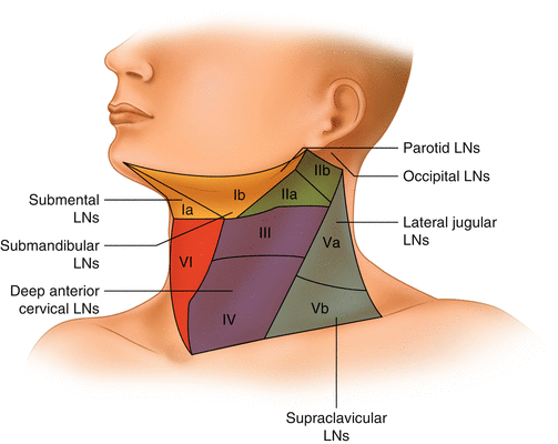 swollen supraclavicular lymph nodes right side
