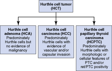 Hurthle Cell Tumors of the Thyroid | Ento Key
