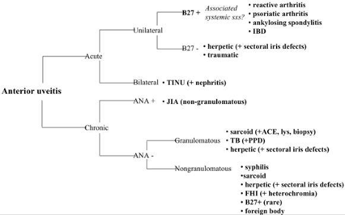 Uveitis in Children | Ento Key