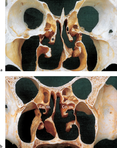 Fig. 2.19