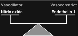 A319420_1_En_10_Fig2_HTML.jpg