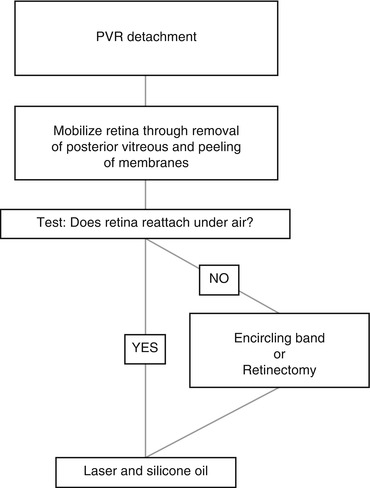 A332932_1_En_20_Fig1_HTML.jpg