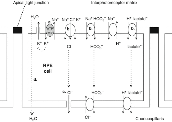 A347009_1_En_9_Fig4_HTML.gif