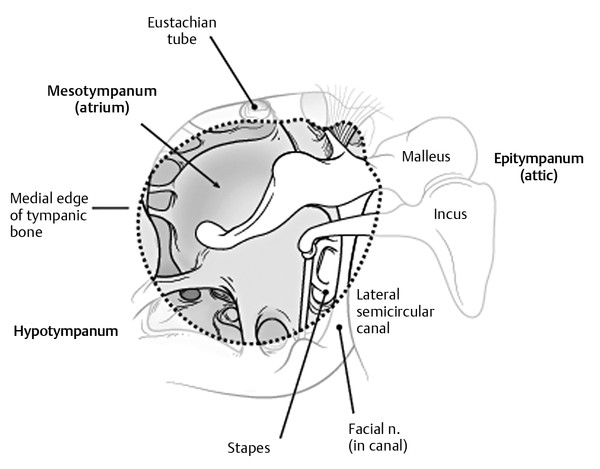 Attic In Ear Anatomy - Image Balcony and Attic Aannemerdenhaag.Org