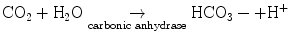 
$$ {\mathrm{CO}}_2+{\mathrm{H}}_2\mathrm{O}\underset{\mathrm{carbonic}\kern0.24em \mathrm{anhydrase}}{\to }{\mathrm{H}\mathrm{CO}}_3-+{\mathrm{H}}^{+} $$
