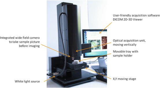 A76297_2_En_26_Fig3_HTML.jpg