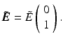 
$$ \tilde{\boldsymbol{E}}=\tilde{E}\left(\begin{array}{c}\hfill 0\hfill \\ {}\hfill 1\hfill \end{array}\right). $$
