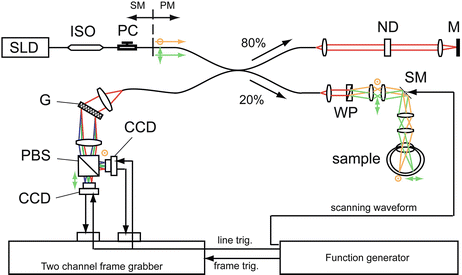 A76297_2_En_44_Fig2_HTML.gif