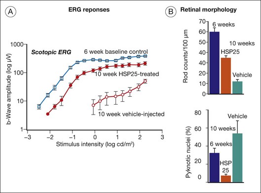 Neuroprotection | Ento Key