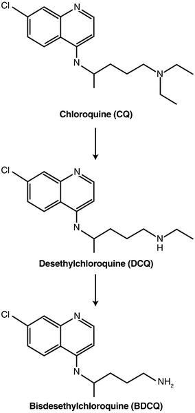 Pharmacology Of Chloroquine And Hydroxychloroquine | Ento Key