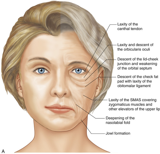 The Aging Face | Ento Key