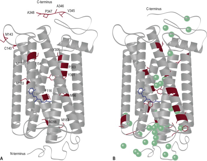 Biochemistry And Cell Biology | Ento Key