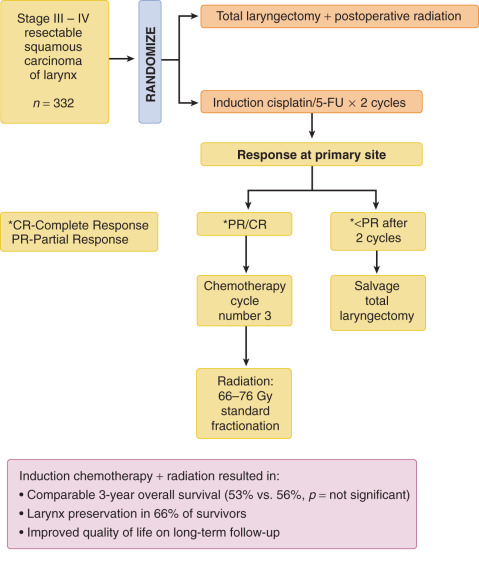 Systemic Therapy | Ento Key