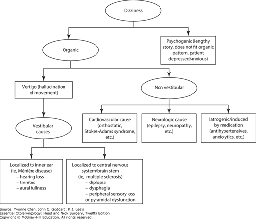 Vestibular And Balance Disorders | Ento Key