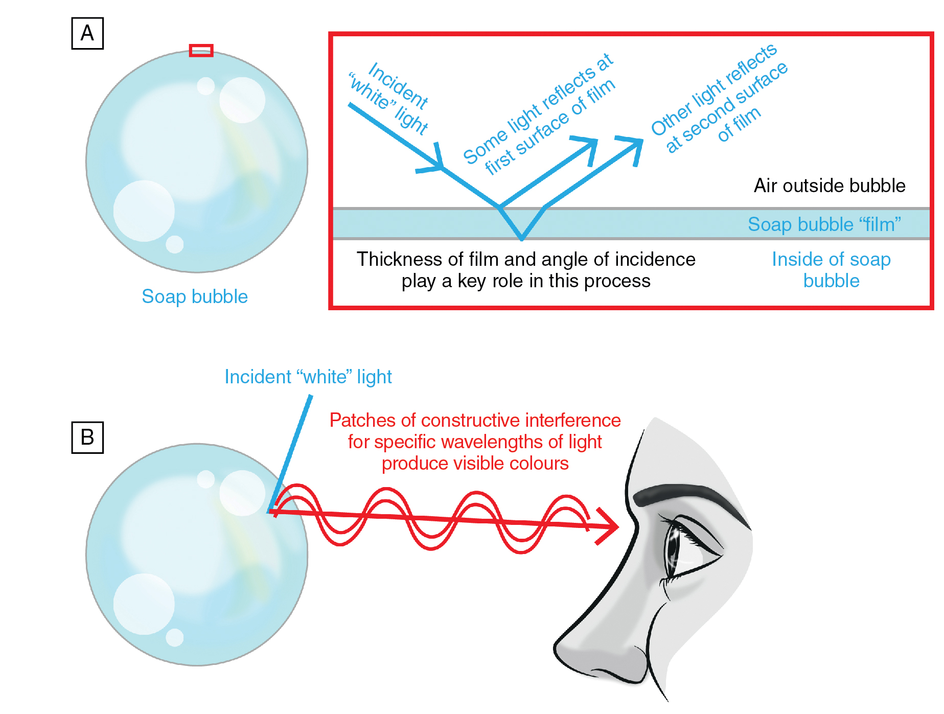 Superposition, Interference And Diffraction | Ento Key