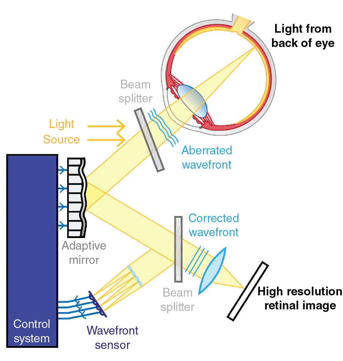 Wavefront Aberrations And Adaptive Optics | Ento Key