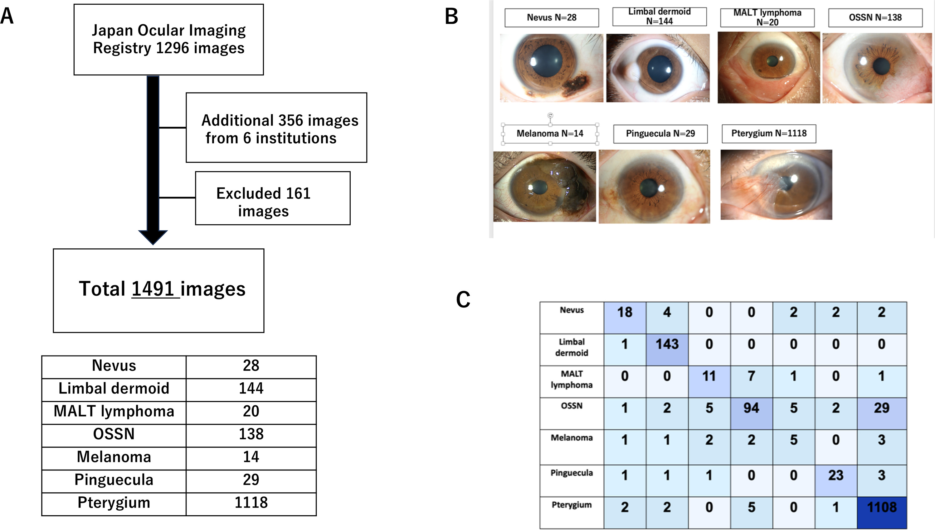 Figure 1 dummy alt text