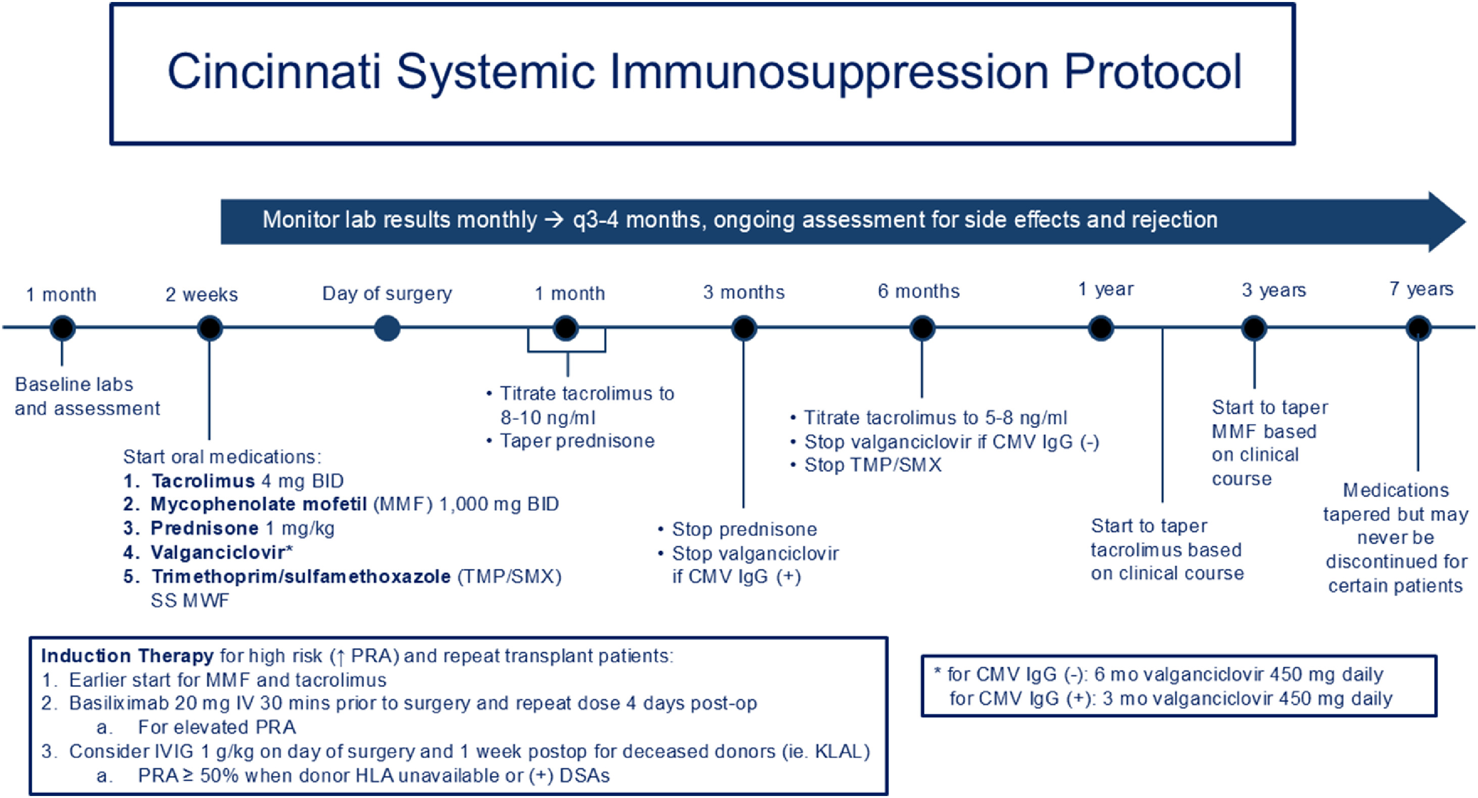 FIGURE 1 dummy alt text