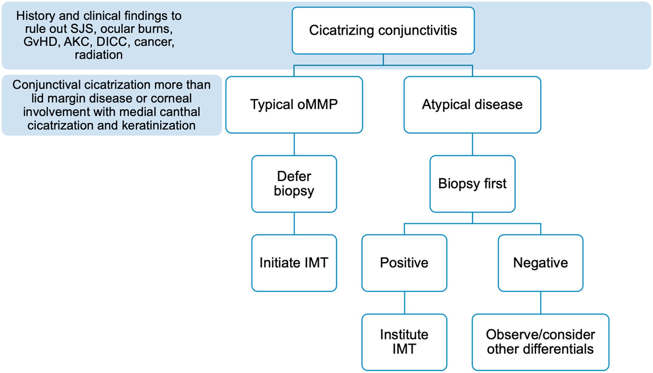 FIGURE 1 dummy alt text