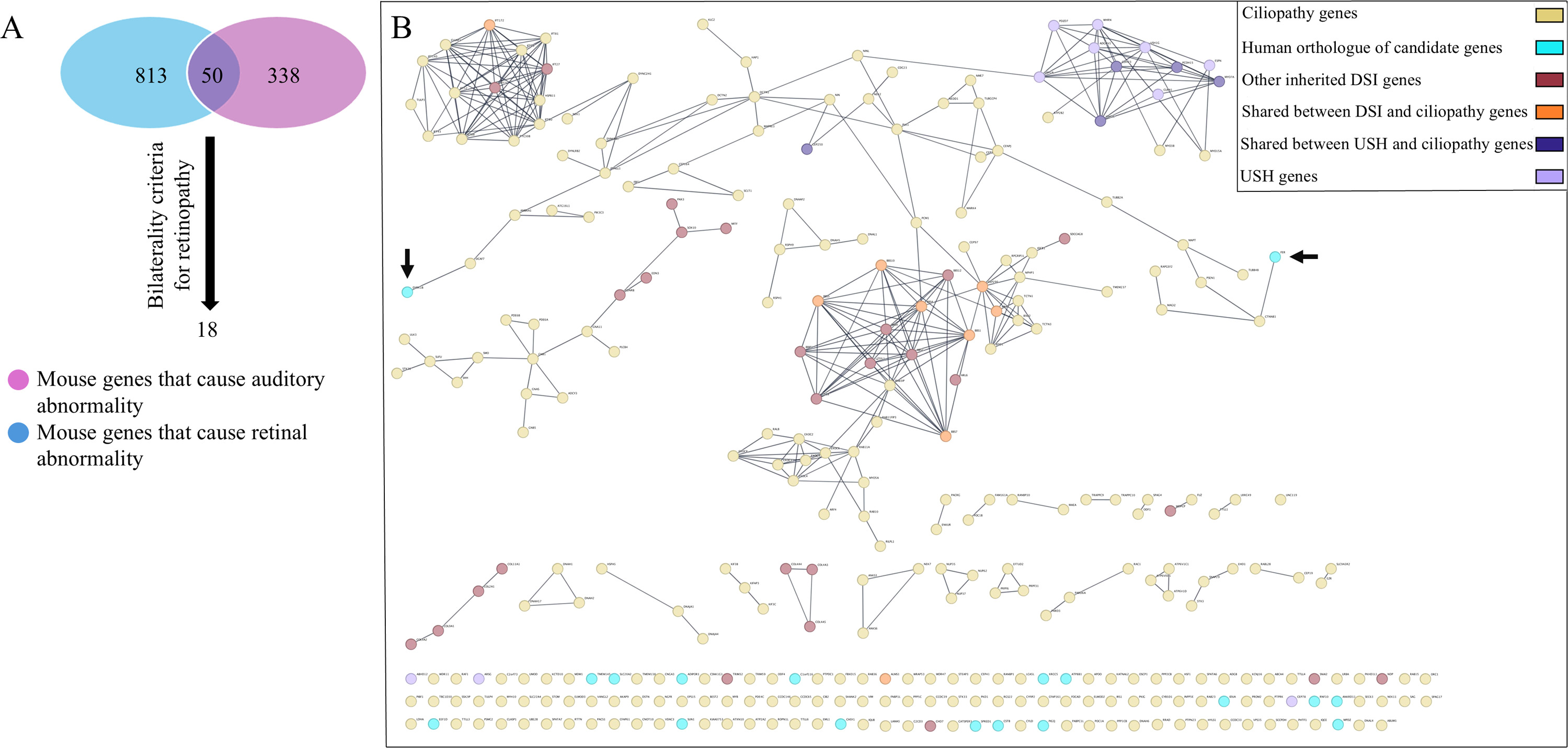 FIGURE 1 dummy alt text